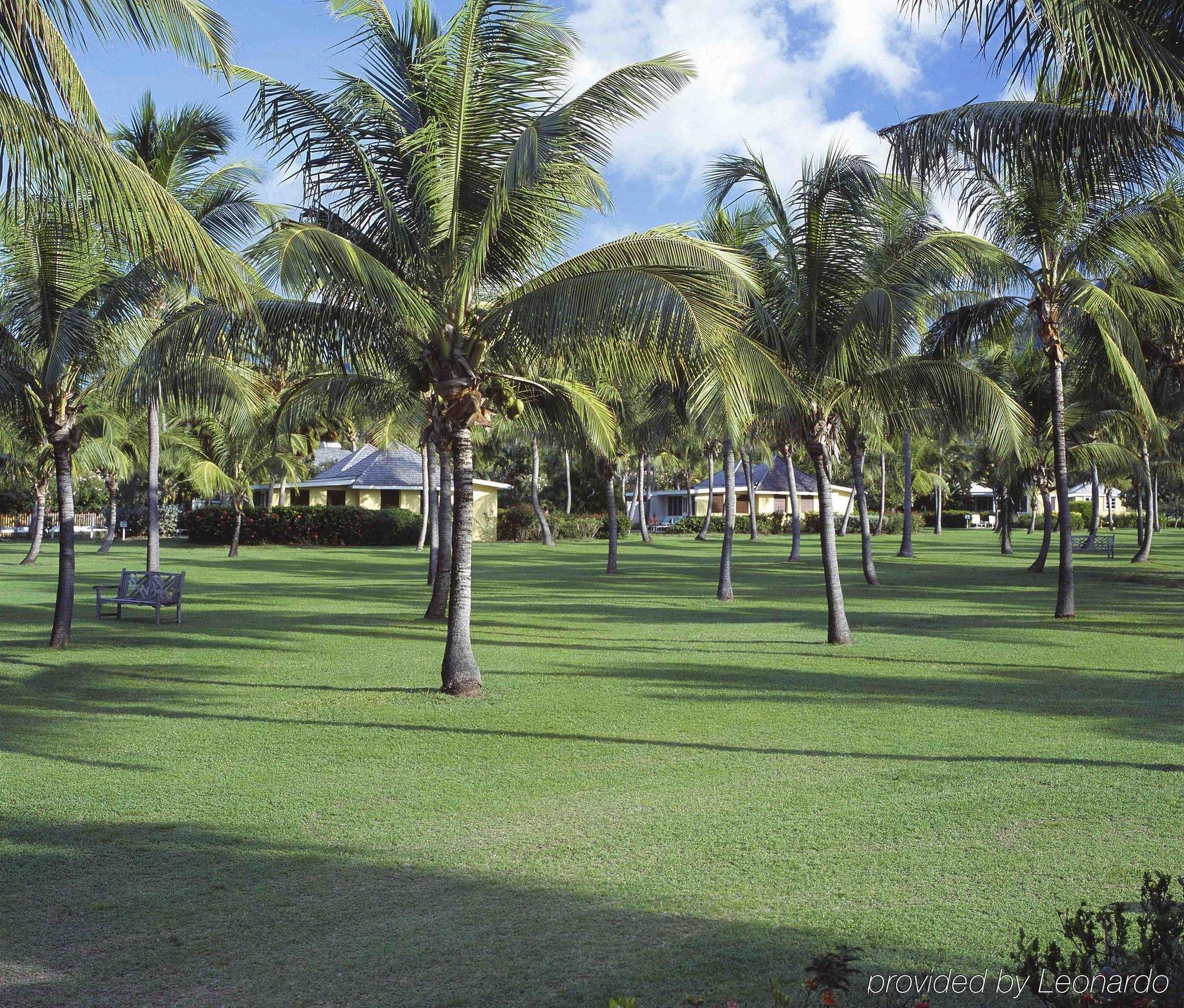 Nisbet Plantation Beach Club Newcastle Luaran gambar