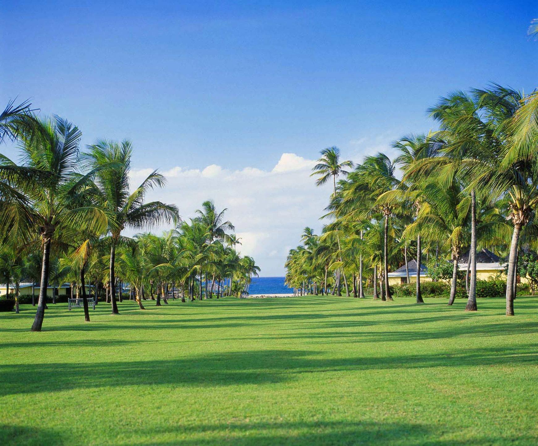 Nisbet Plantation Beach Club Newcastle Luaran gambar